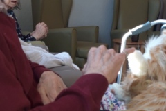 Time with Bobby & Newton the cats at Charnley House nursing home in Hyde
