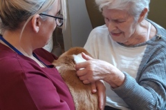 Rabbit visit to care home in Hyde