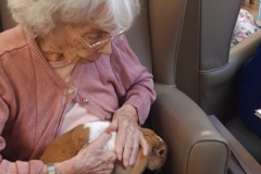 Rabbit visit to care home in Hyde