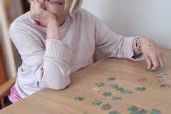 jigsaws-2