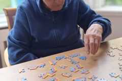 jigsaws-3