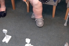 Playing the Safari game at Hyde care home