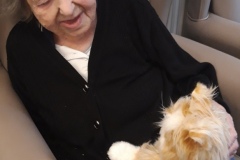 Newton the cat at Hyde nursing home
