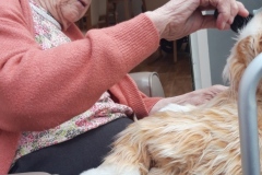 Newton the cat at Hyde nursing home
