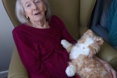 Cat donation residential care home Hyde