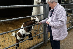 Day trip to Wentworth Garden Centre
