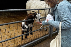 Day trip to Wentworth Garden Centre
